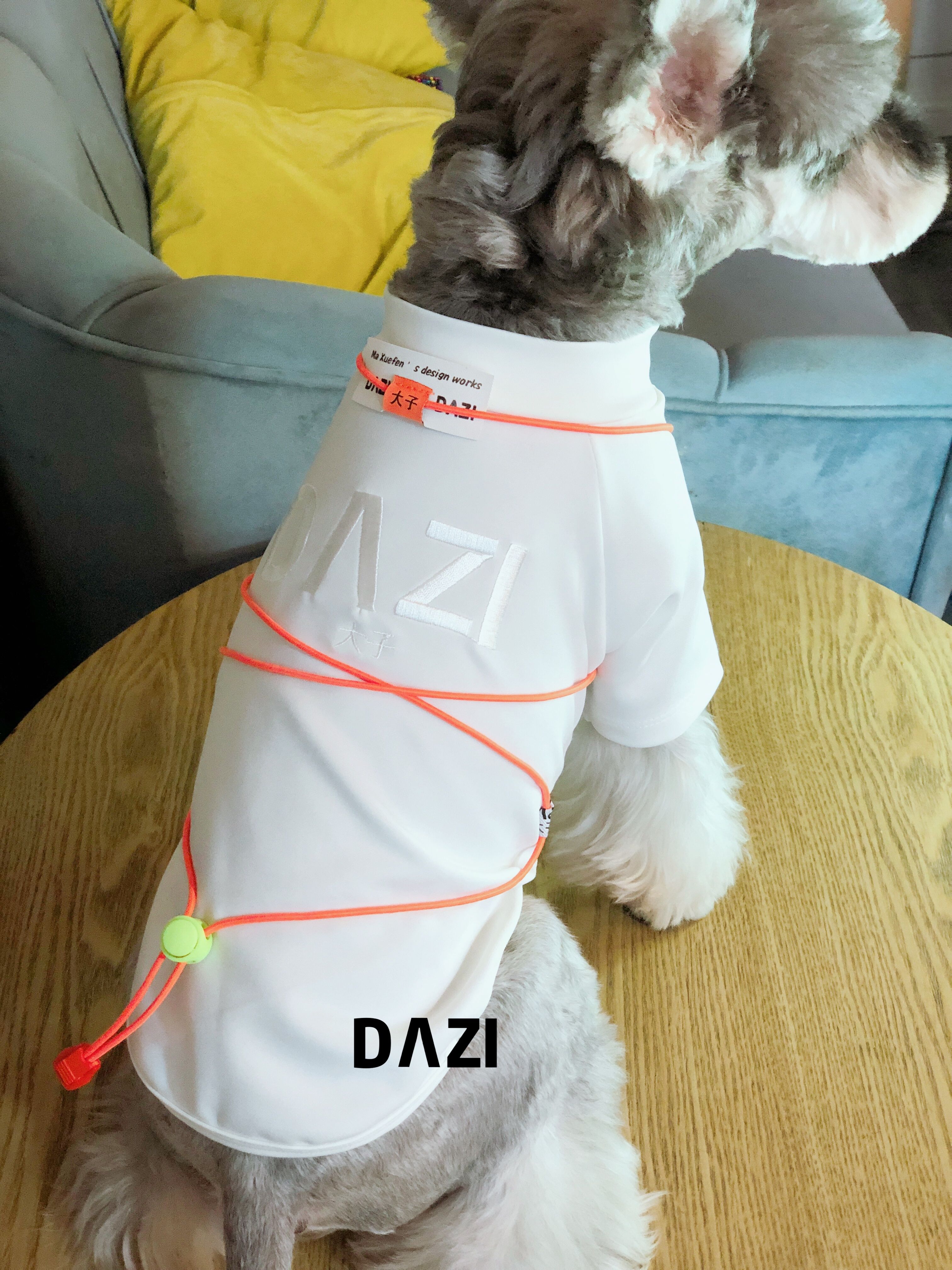 大子原创宠物服装diy秋冬打底