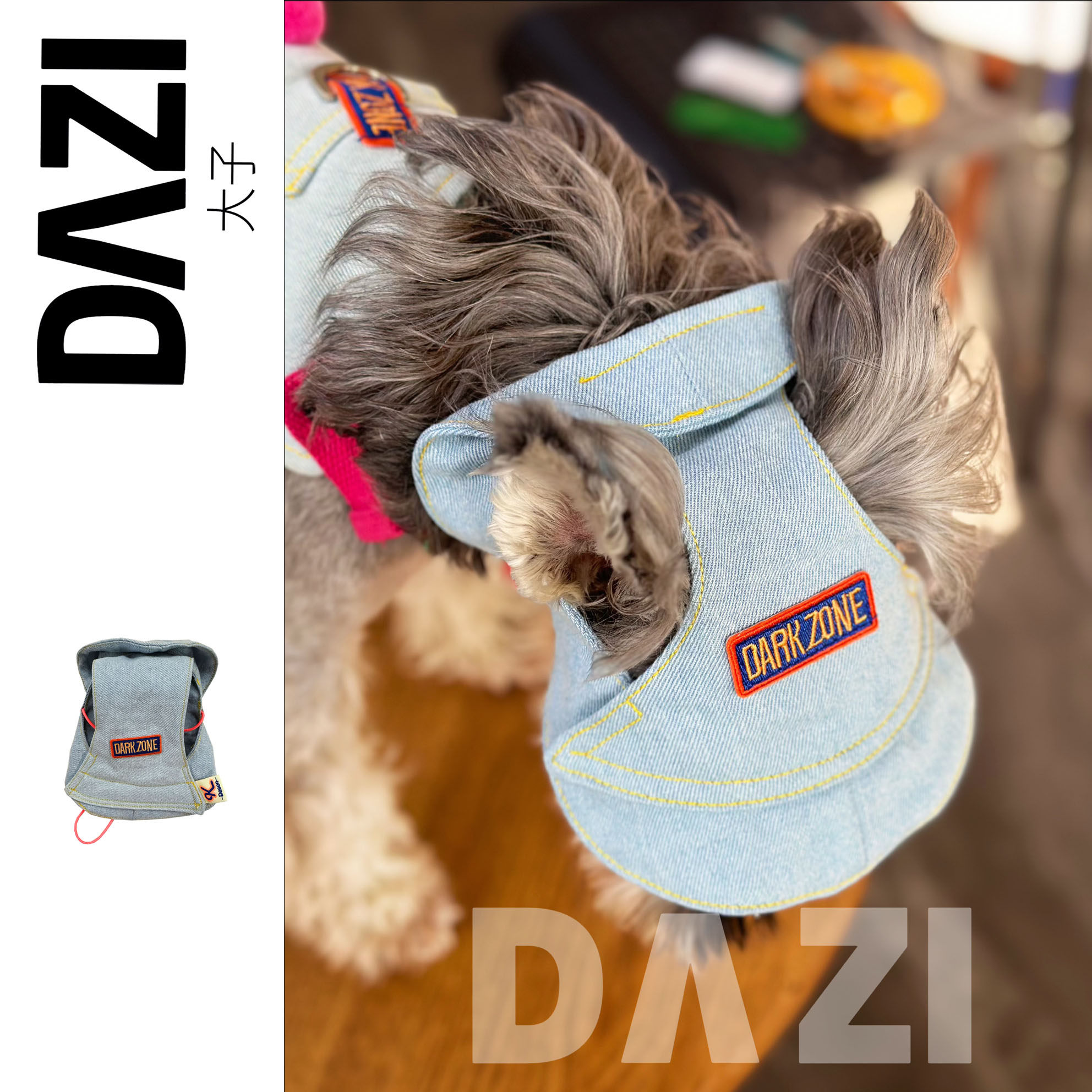 大子原创设计宠物狗猫咪春秋款牛仔装饰帽