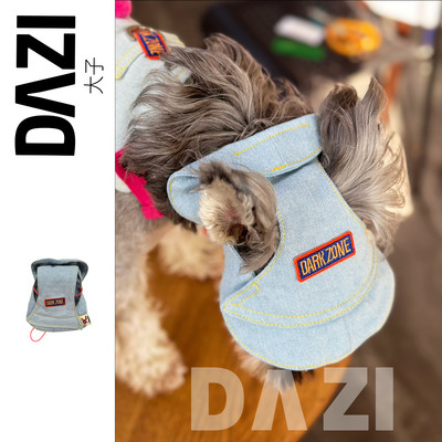 大子原创设计宠物狗猫咪春秋款牛仔装饰帽