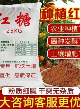 农业种植专用果树蔬菜增产增甜菌培养菌发酵水肥环保酵素农用红糖