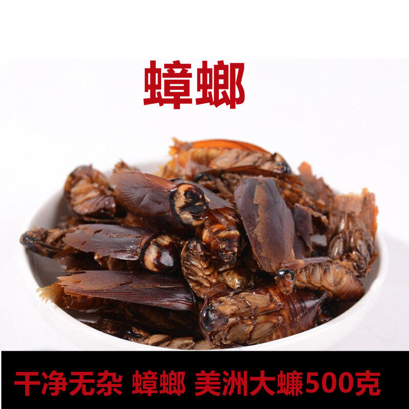 蟑螂新货正宗可磨粉药材美洲大蠊