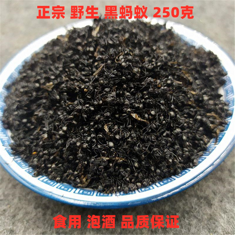 中药材蚂蚁蚁酸拟黑多刺蚁大黑蚂蚁250克泡酒养生特级可磨蚂蚁粉