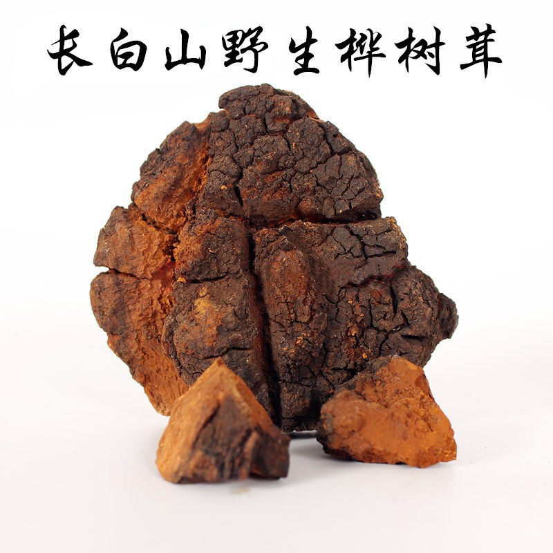 桦树茸 野生正品 桦树黄长白山桦褐孔菌250克 桦树泪优质养生包邮