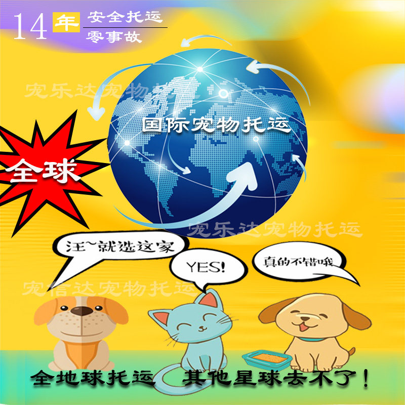 国际宠物托运空运出国血检打芯片宠物移民去香港澳门出入境报关清