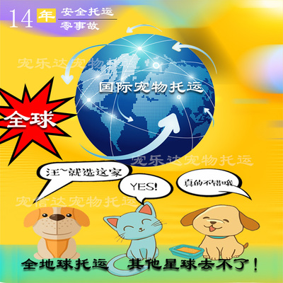 国际宠物托运空运出国血检打芯片宠物移民去香港澳门出入境报关清