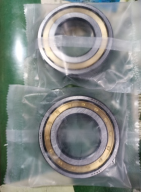 日本进口单列调心滚子轴承20204 20205 20206 20207 20208 20209M