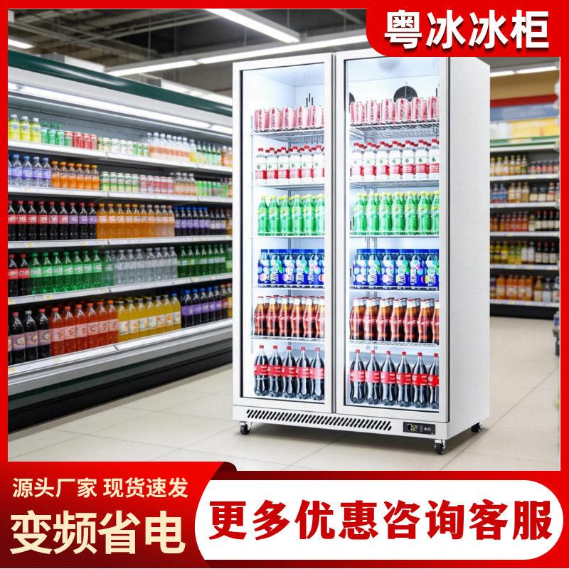 冷冻展示柜商用立式速冻低温柜冻品肉类牛排榴莲冰柜冰箱