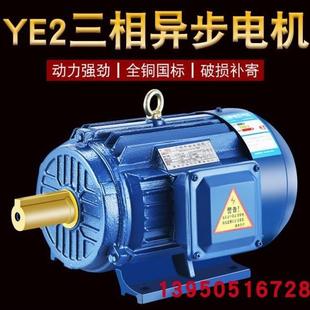 Y802 YE2系列三相电动机0.75W4级厂家YE2 802