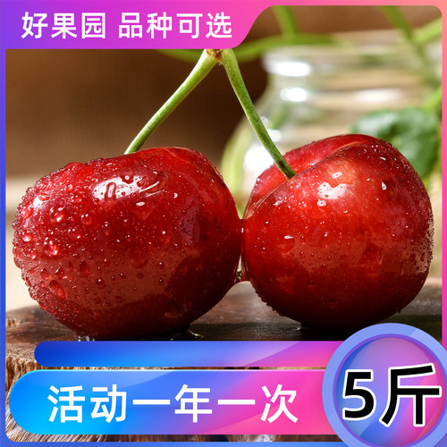 烟台大樱桃5斤美早多品种可选