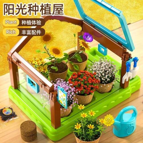 阳光房种植儿童科学小实验套装种菜植物观察玩具女孩生日礼物手工