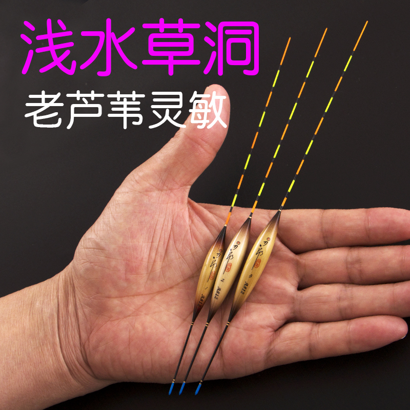 官方刀郎a812芦苇漂鲫鱼漂浅水漂短漂春钓冬钓钓草洞浮标冰钓浮漂