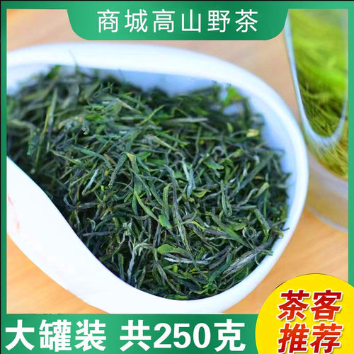 2026新茶信阳毛尖商城野茶250g