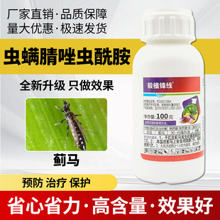 毅植锋线 20%虫螨腈唑虫酰胺悬浮剂豇豆蓟马杀虫剂农药100克