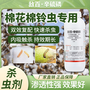敌百辛硫磷棉花田专用药棉铃虫蚜虫卵双杀农药杀虫剂大全正品