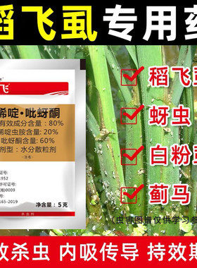 白粉虱花卉蔬菜专用果树打虫药