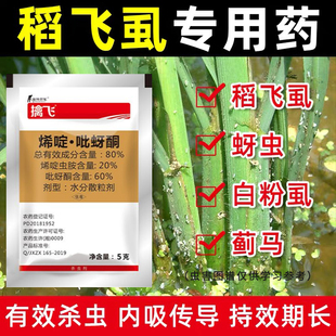 水稻专用杀虫剂白粉虱蚜虫蓟马稻飞虱果树花卉蔬菜专用打虫药正品