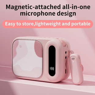 Wireless Portable Lavalier Microphone Bee Voice Amplifier