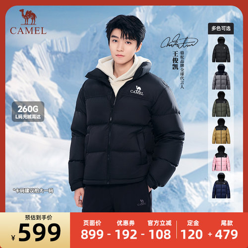 Camel/骆驼立领骆驼男装羽绒服