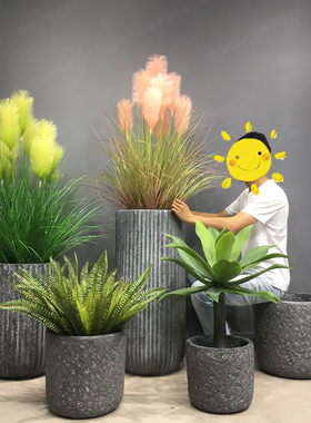 北欧简约居家装饰花盆器造景摆设