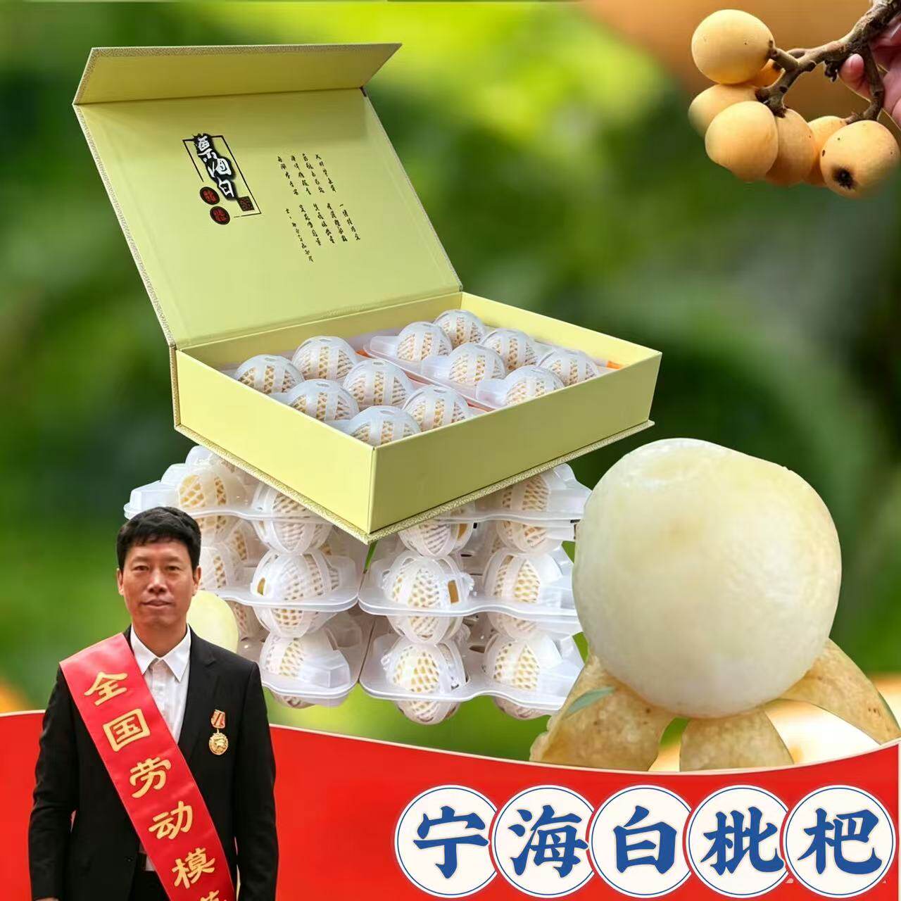 宁海白枇杷 当季新鲜水果白沙白玉大果琵琶礼盒装高端水果包邮
