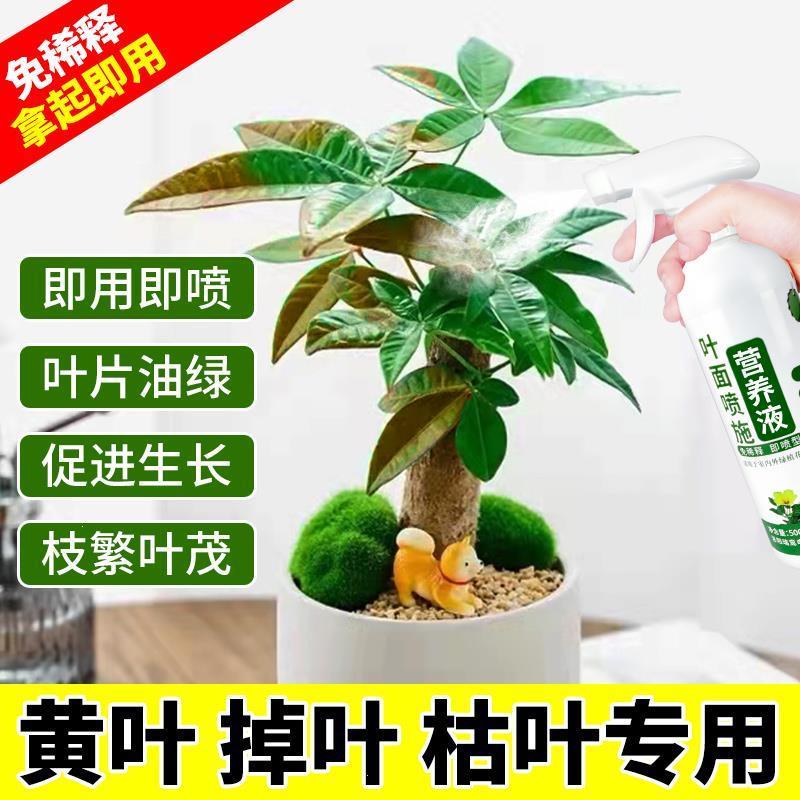 发财树营养液室内专用肥叶子发黄落叶盆栽绿植水培植物通用型花肥 鲜花速递/花卉仿真/绿植园艺 家庭园艺肥料 原图主图