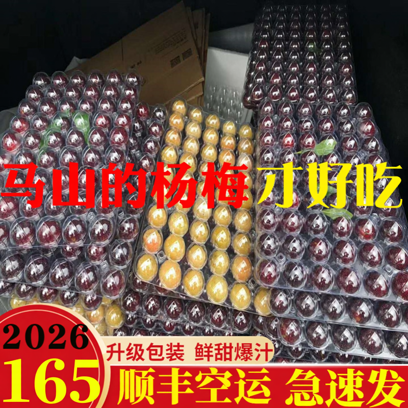 正宗无锡马山乌紫杨梅端午送礼盒