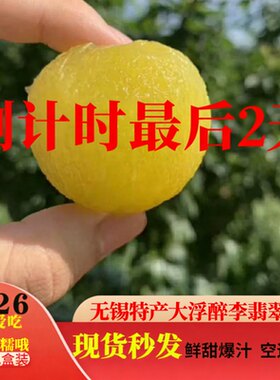 正宗无锡大浮醉李冰糖李黄金奈李
