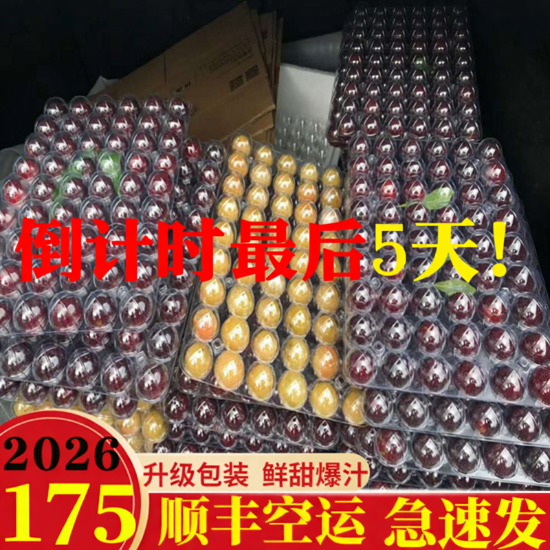 正宗无锡马山大东魁杨梅仙居东魁杨梅456斤礼盒送礼佳品顺丰空运