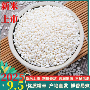 2025新米江苏无锡农家圆糯米500g包粽子粘米白糯米酿酒米圆粒真空