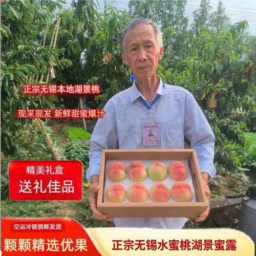 正宗无锡水蜜桃湖景桃甜软礼盒