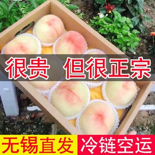 正宗无锡水蜜桃白凤桃湖景桃大软桃脆甜多汁礼盒孕妇当季新鲜水果