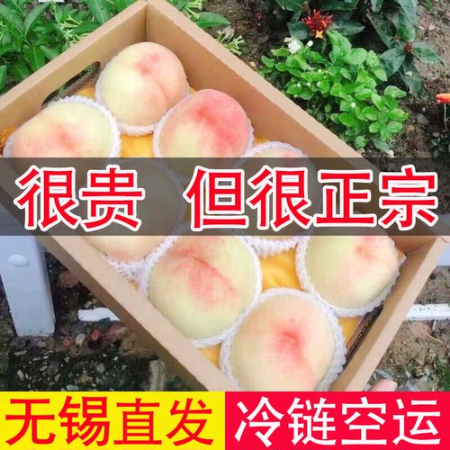 无锡水蜜桃白凤桃湖景桃甜蜜多汁
