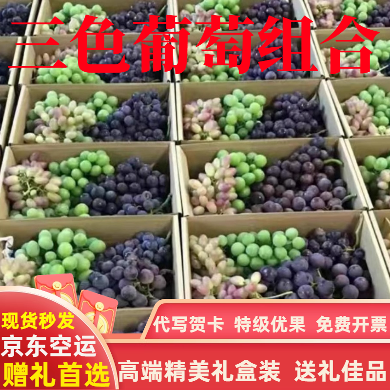上海马陆无锡太湖葡萄玫瑰香奶油醉金香巨峰夏黑晴王葡萄5斤整串