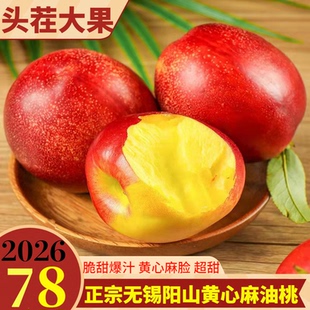 正宗无锡阳山麻点红油桃当季新鲜水果脆甜黄心大油桃5斤端午礼盒
