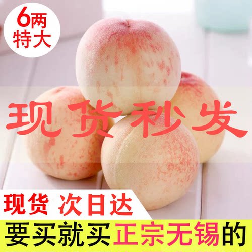 正宗无锡水蜜桃白凤桃湖景桃甜软