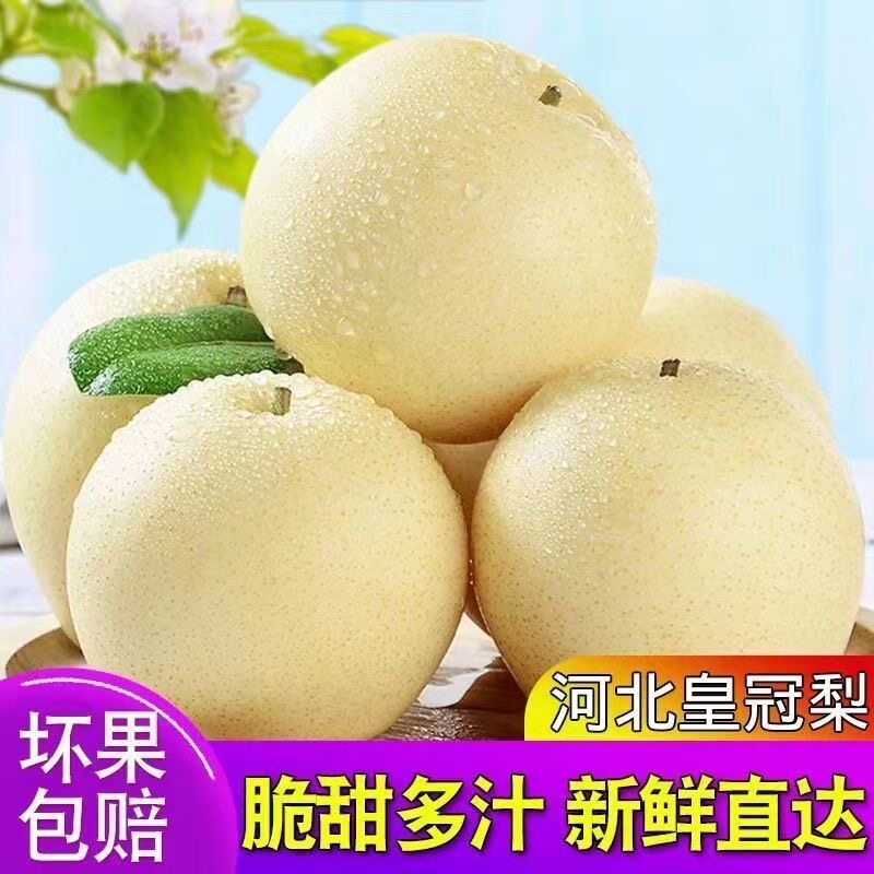 河北赵县皇冠梨新鲜水果