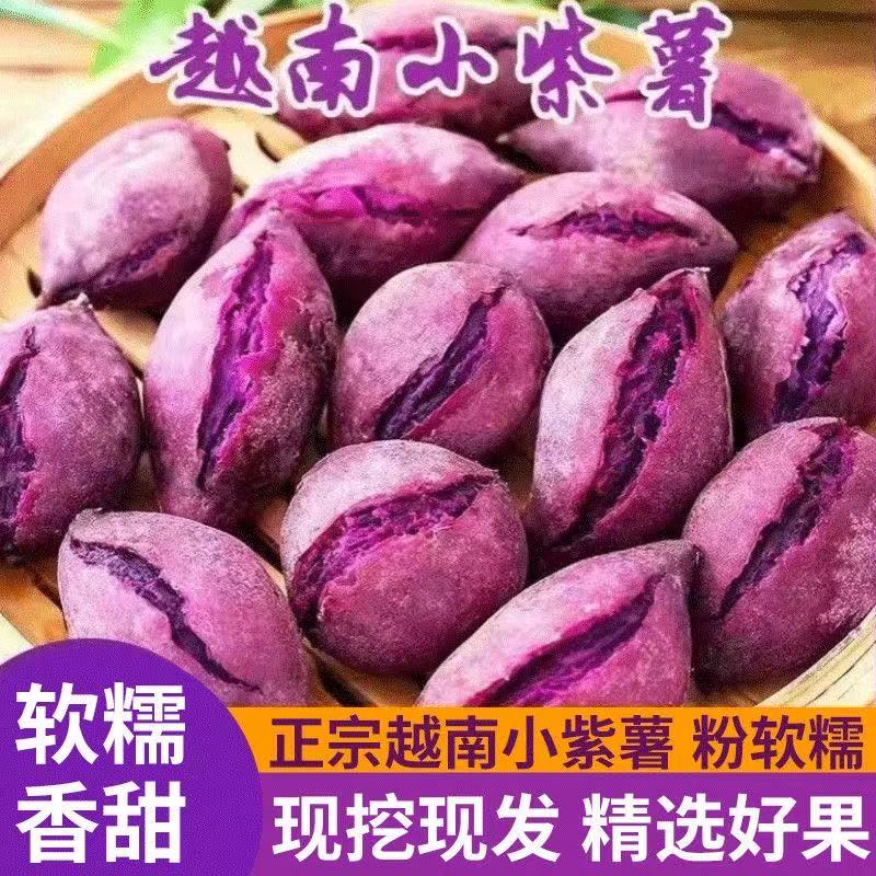 越南紫薯新鲜红紫皮番薯