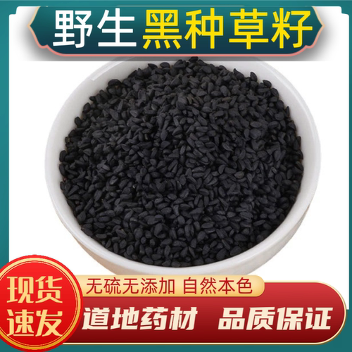 黑种草籽中药材黑种草子新疆野生黑种草子正黑种草籽黑孜然黑茴香