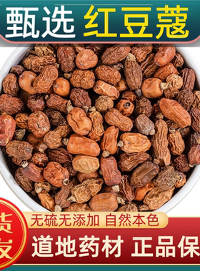 宁世堂红豆蔻中药材红豆蔻正宗药用红豆蔻香料红寇良姜子红豆寇粉