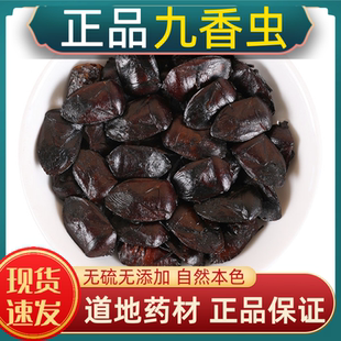 九香虫中药材九香虫中药材云南野生大九香虫打屁虫臭大姐新鲜干货