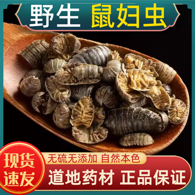 宁世堂鼠妇虫中药材鼠妇虫野生鼠妇虫 潮虫 地虱子鼠子鼠姑团子虫