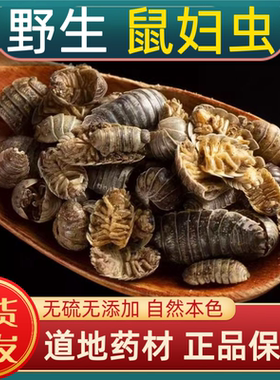 宁世堂鼠妇虫中药材鼠妇虫野生鼠妇虫 潮虫 地虱子鼠子鼠姑团子虫