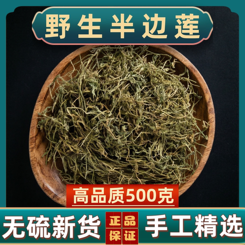 半边莲中药材生半边连新鲜干货瓜仁草细米草正品可磨半边莲粉干货