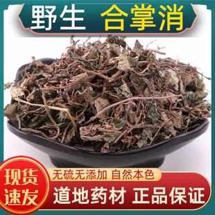 合掌消中药材合掌消神仙对坐草正品野生合掌消新货上市多规格可选