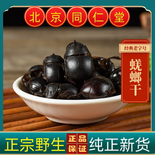 同仁堂蜣螂中药材蜣螂野生大将军药用蜣螂虫屎壳螂水洗蜣螂干无硫