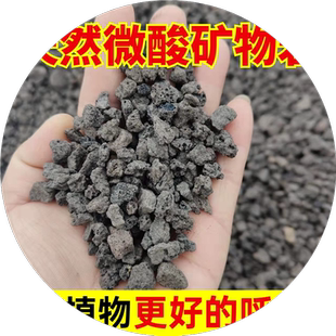 微酸矿物岩颗粒土养花专用小石子多肉兰花铺面黑色火山石底砂酸性