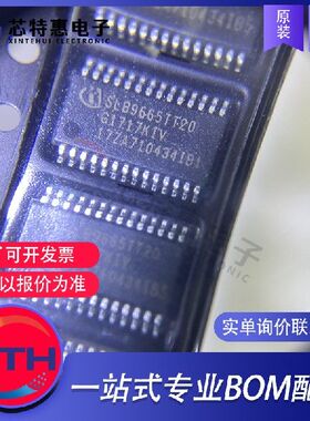 SLB9665TT2.0FW5.00 原装正品 INFINEON/英飞凌 TSSOP28