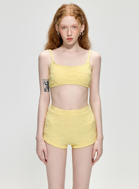 高级定制小胸聚拢分体泳衣女平角高腰遮肚显瘦度假比基尼温泉泳装