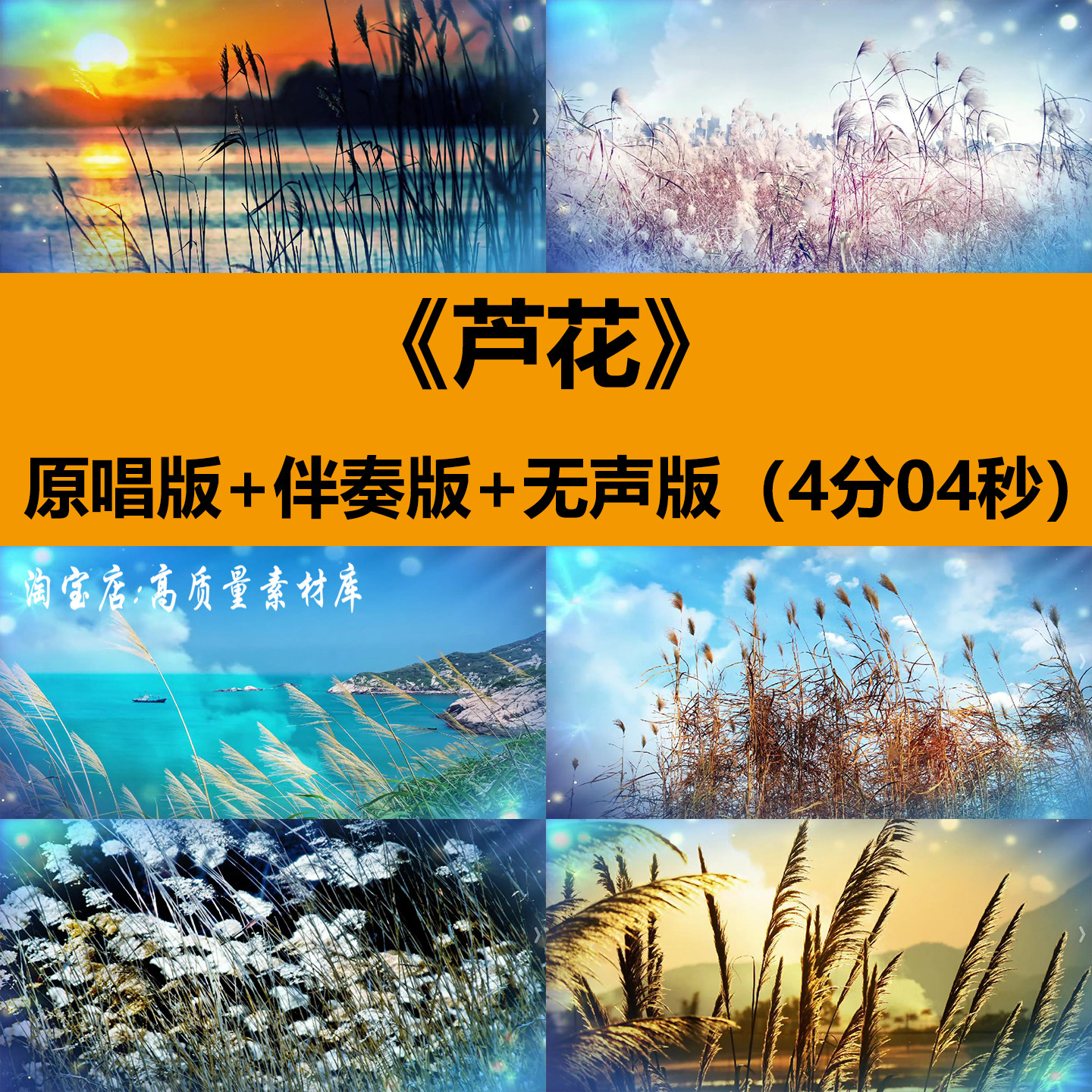 芦花歌曲伴奏唯美芦苇花风景演出晚会舞台LED大屏幕背景视频素材,商务/设计服务,设计素材/源文件,淘宝优惠券,粉丝福利购,淘宝优惠卷