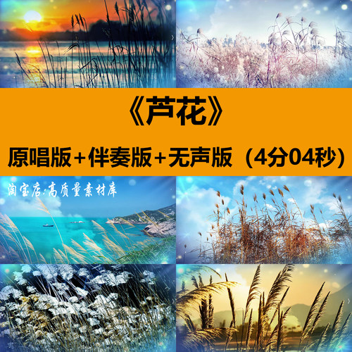 芦花歌曲伴奏唯美芦苇花风景演出晚会舞台LED大屏幕背景视频素材